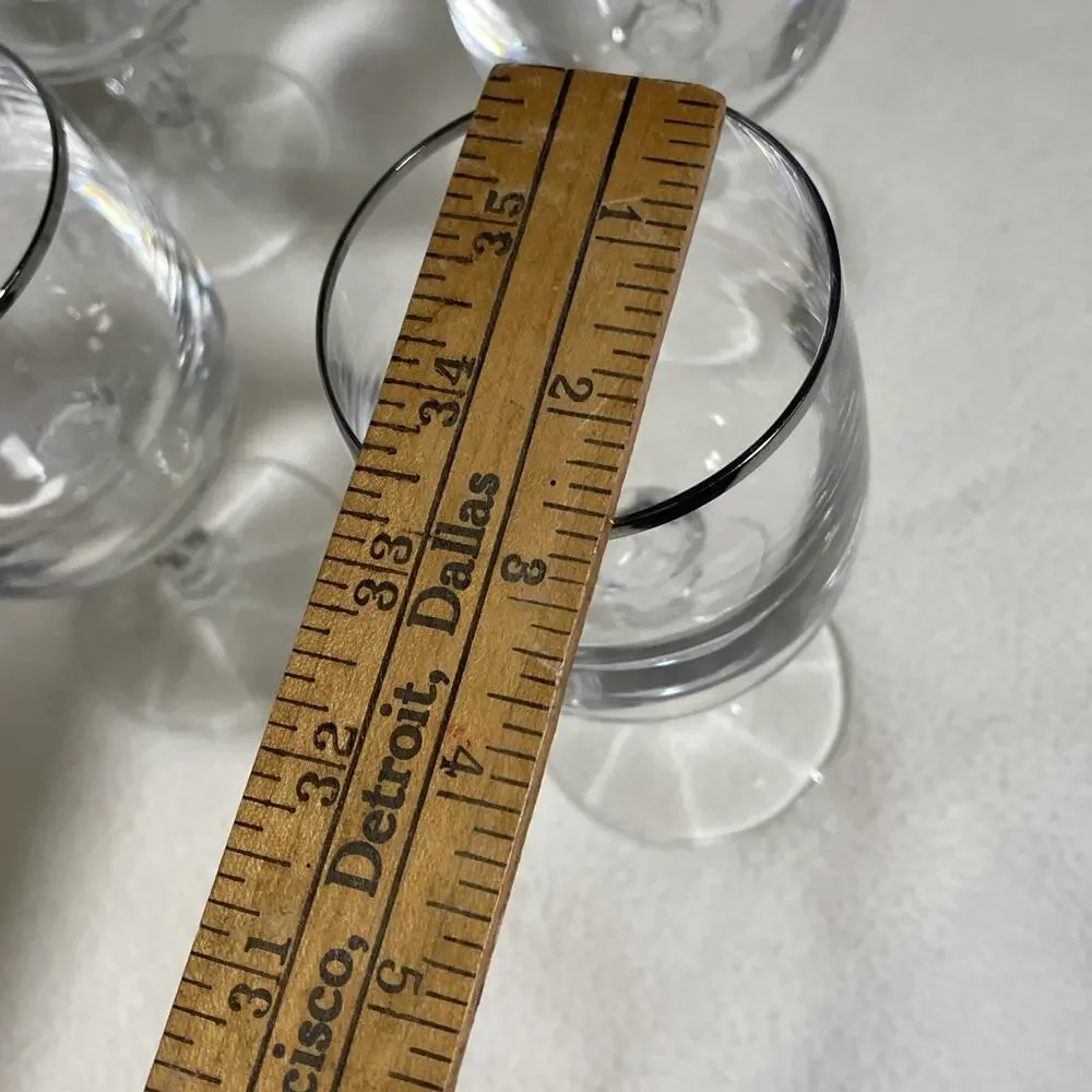 Melodia Platinum Banded Water Goblets by SCHOTT-ZWIESEL~~Set of 6